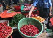 Harga Cabai Merah Sumut Diturunkan Dengan Narasi Pencitraan, Bukan Fakta