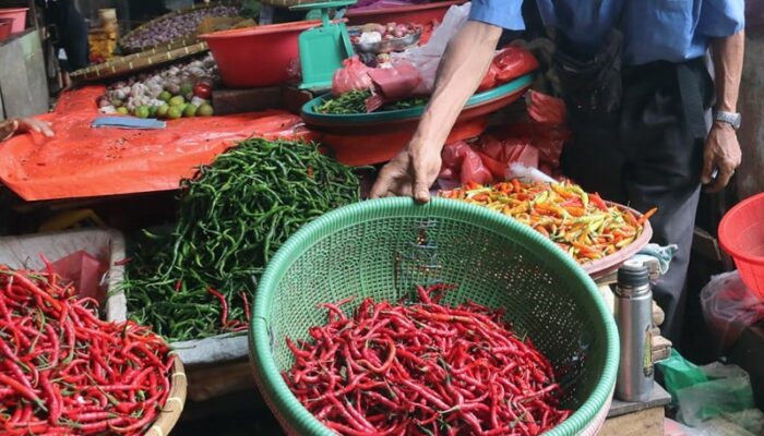 Harga Cabai Merah Sumut Diturunkan Dengan Narasi Pencitraan, Bukan Fakta