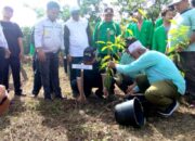 UIN Syahada Padangsidimpuan Kolaborasi Dengan PT NSHE Tanam 1000 Pohon