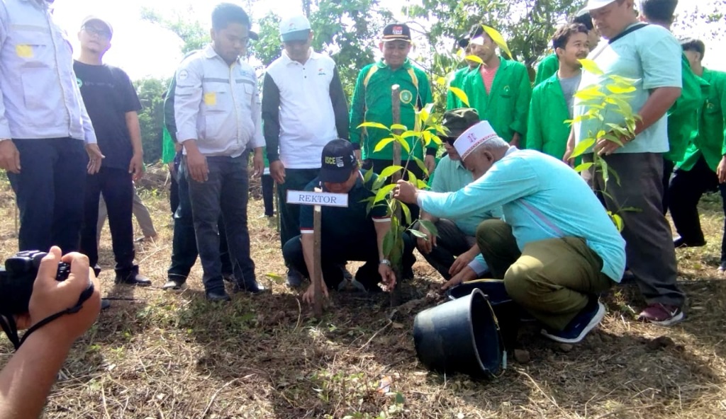 UIN Syahada Padangsidimpuan Kolaborasi Dengan PT NSHE Tanam 1000 Pohon