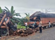 Truk Fuso Vs Tronton, Tiga Terluka