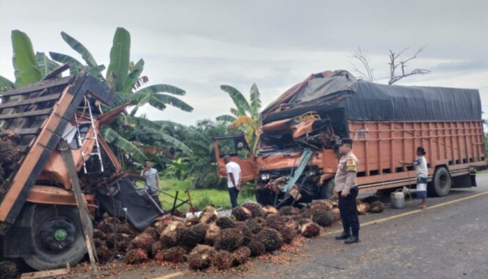 Truk Fuso Vs Tronton, Tiga Terluka