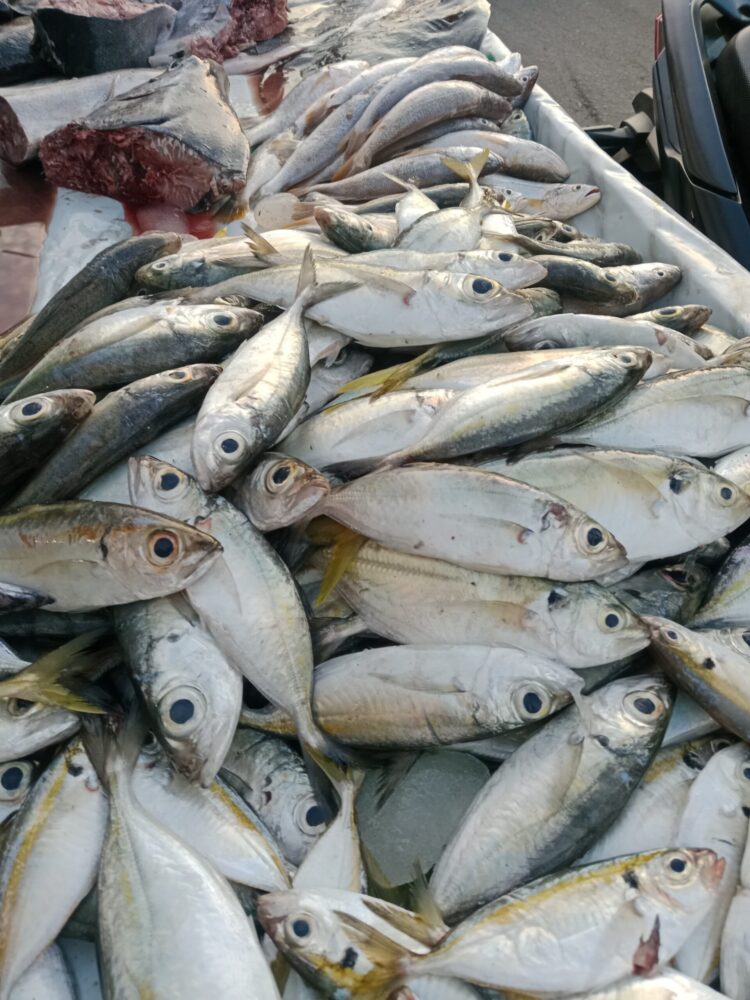 Sepekan Terakhir Harga Ikan Di Lubukpakam Melonjak Tajam