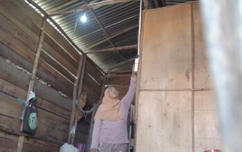 Kisah Warga Aek Horsik, Kini Miliki Sambungan Listrik Sendiri, Menjelang HLN Ke-80