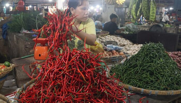 Harga Cabai Merah Di Medan Masih Mahal, Intervensi Pasar BUMD Sumut Gagal