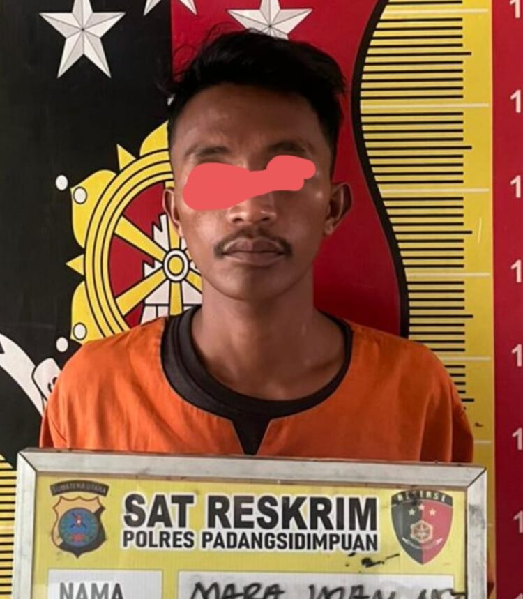 Sikat Sepeda Motor Teman, Residivis Narkoba Diciduk Polres P. Sidimpuan