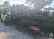 Pohon Pinus Daerah Aliran Sungai Lumban Silintong Pagaran Ditebangi