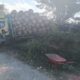Pohon Pinus Daerah Aliran Sungai Lumban Silintong Pagaran Ditebangi