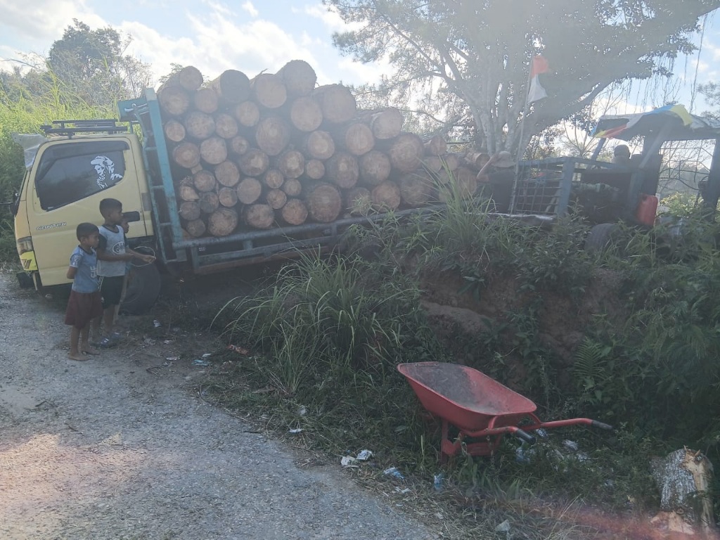 Pohon Pinus Daerah Aliran Sungai Lumban Silintong Pagaran Ditebangi