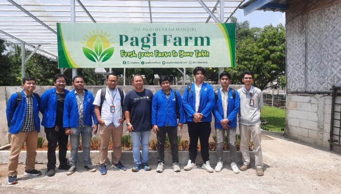 Tanam Harapan di Tengah Beton: UPER Hadirkan Urban Farming yang Ramah Lingkungan