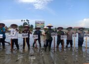 Bupati Safaruddin Datangkan Alsintan, Dorong Tanam Serentak Dan Swasembada Pangan Abdya