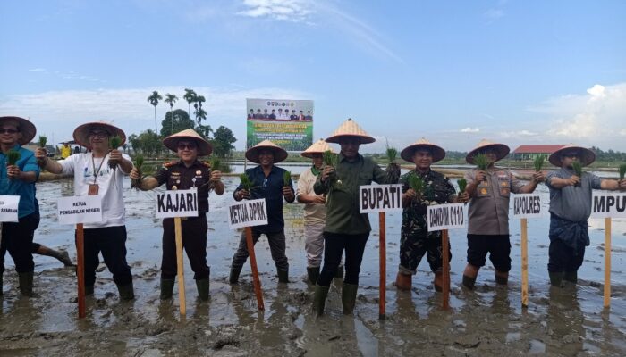 Bupati Safaruddin Datangkan Alsintan, Dorong Tanam Serentak Dan Swasembada Pangan Abdya