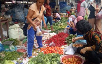 Harga sejumlah kebutuhan pokok di Sumatera Utara pada awal pekan ini terpantau bergerak liar dengan kecenderungan menurun. Berdasarkan data Pusat Informasi Harga Pangan Strategis (PIHPS), sebagian komoditas seperti cabai, tomat, dan wortel menunjukkan fluktuasi harga yang cukup tajam dalam beberapa hari terakhir.