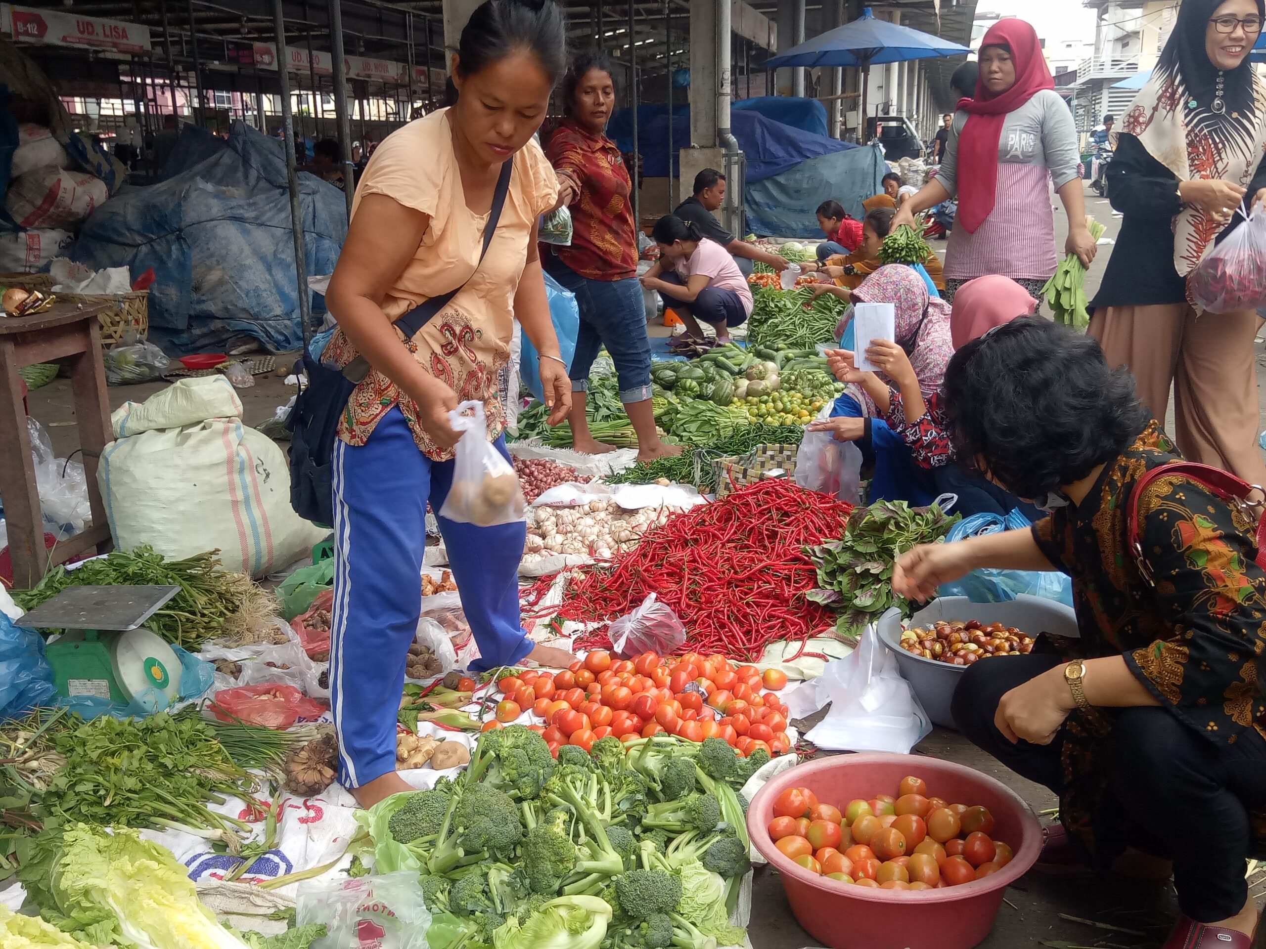 Harga Kebutuhan Pokok Di Sumut Bergerak Liar, Cenderung Turun