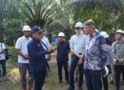 Dubes Uni Eropa Apresiasi Keselarasan PTPN IV PalmCo Dengan Tiga Pilar Utama Industri Sawit Berkelanjutan