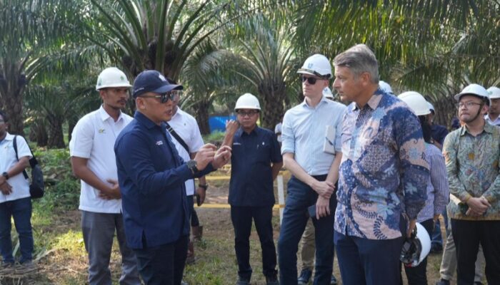 Dubes Uni Eropa Apresiasi Keselarasan PTPN IV PalmCo Dengan Tiga Pilar Utama Industri Sawit Berkelanjutan