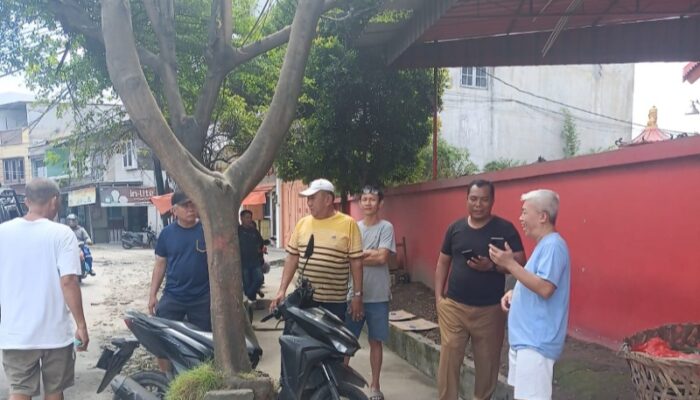 Penebangan Pohon Milik Pemko Medan Di Jl. Platina Diduga Dilakukan Preman Bayaran