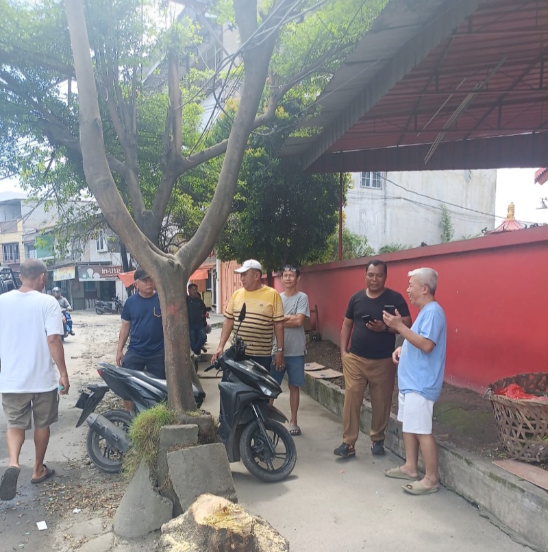 Penebangan Pohon Milik Pemko Medan Di Jl. Platina Diduga Dilakukan Preman Bayaran