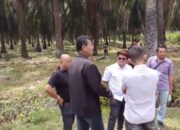 Sengketa Lahan 300 Ha Di Asahan Memanas, Ketua Komisi A Minta Duduk Bersama