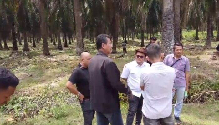 Sengketa Lahan 300 Ha Di Asahan Memanas, Ketua Komisi A Minta Duduk Bersama
