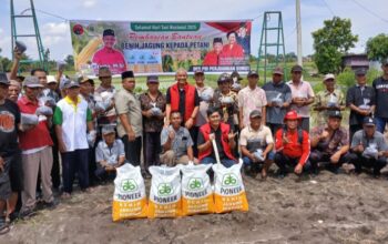 Reses Di Karang Anyar Deli Serdang, Sutarto Serahkan Bantuan Bibit Jagung Ke Petani