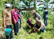 UINSU Peringati Hari Ozon Sedunia Tanam Pohon Produktif Di 4 Kampus