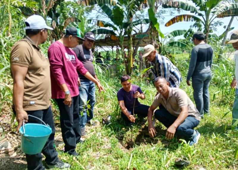 UINSU Peringati Hari Ozon Sedunia Tanam Pohon Produktif Di 4 Kampus
