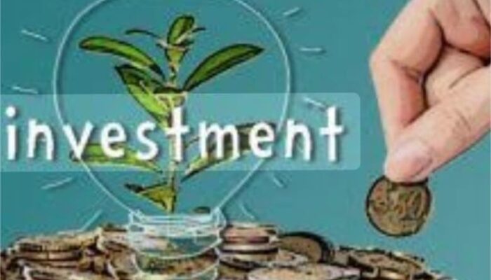 Daya Tarik Investasi Indonesia Kalah Bersaing Dari Vietnam Dan India