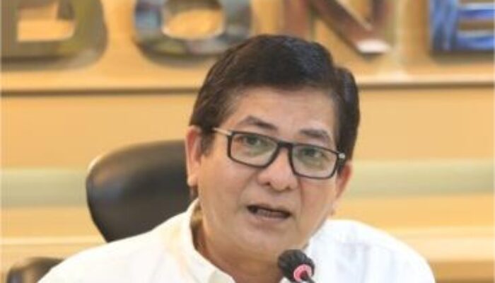 Viral Vtuber Sena, Ini Penjelasan Kepala Biro PHM Setjen DPD RI