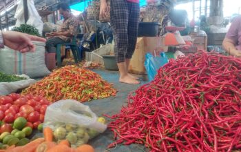 Curah hujan tinggi yang mengguyur Sumatera Utara (Sumut) selama dua hari terakhir mulai berdampak pada harga kebutuhan pokok, khususnya komoditas hortikultura. Harga cabai di sejumlah pasar tradisional tercatat melonjak tajam akibat gangguan distribusi dan produksi.