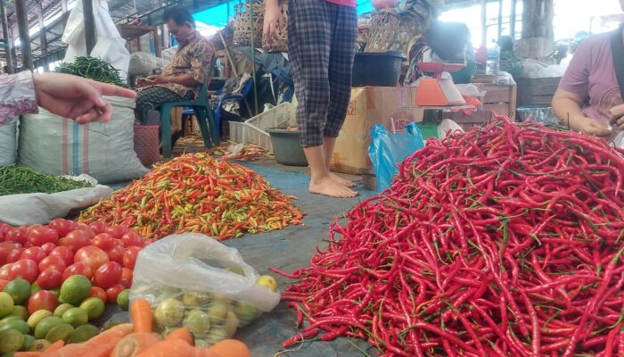 Hujan Deras Picu Kenaikan Harga Cabai Di Sumut, Warga Diminta Tetap Tenang