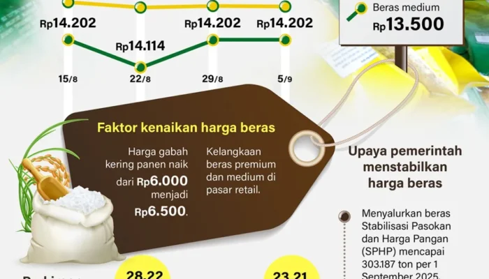 Stabilisasi harga beras