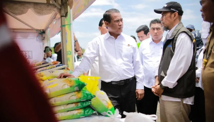 Mentan dorong Kaltara jadi lumbung pangan perbatasan-pintu ekspor