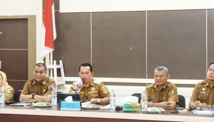 Bupati Padanglawas Paparkan SAKIP Ke Menpan-RB Secara Virtual