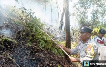 Kebakaran Hanguskan 1 Hektare Lahan Di Padangsidimpuan Selatan
