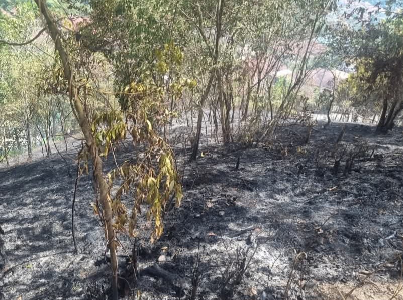 Kebakaran Hanguskan 1 Hektare Lahan Di Padangsidimpuan Selatan