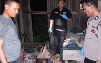Mayat Pria Ditemukan Di Gubuk Kosong Tanjung Pinggir Siantar Martoba