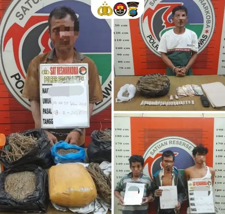 Pengedar Dan Bandar Ganja Di Palas Diciduk Polisi