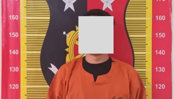 Polres Padangsidimpuan Tangkap Tersangka Penusukan, Korban Luka Parah