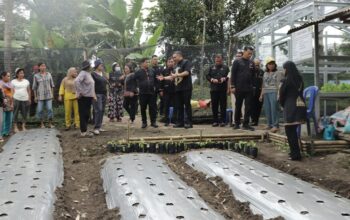 Bupati Pakpak Bharat Apresiasi Kebun B2SA PKK Silima Kuta