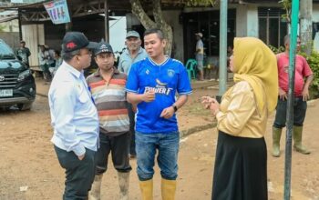 Wali Kota Sidimpuan Tinjau Dampak Banjir Di Desa Goti