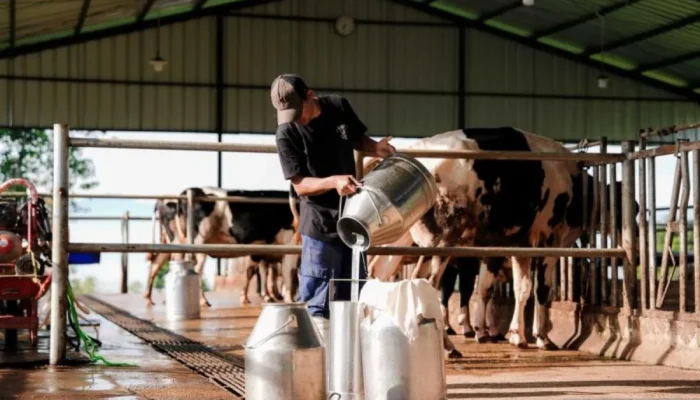 Pakar: Susu pada MBG dongkrak gizi dan angkat ekonomi peternak lokal