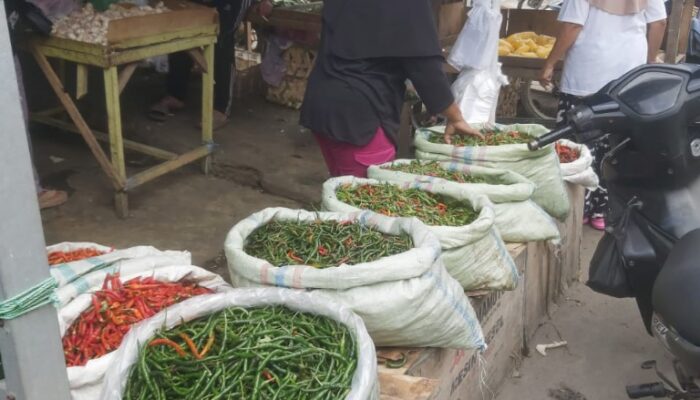 Harga Wortel Melonjak, Cabai Merah Masih ‘Pedas’