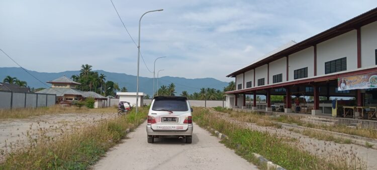 Dinas Perdagangan Madina Janji Bereskan Rumput Liar “Manyomak” Di Pasar Baru Panyabungan