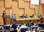 Tatapan Yang Menata Pidie