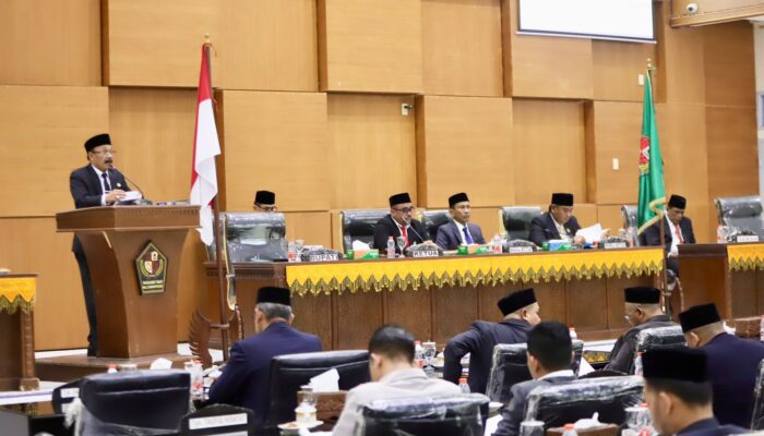 Tatapan Yang Menata Pidie