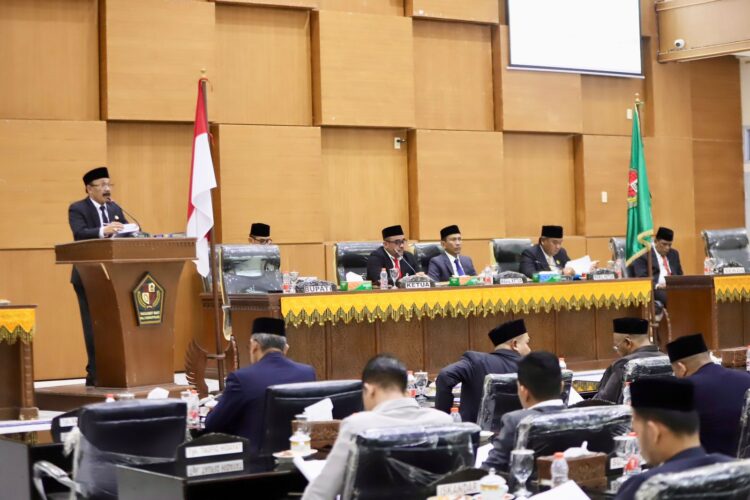 Tatapan Yang Menata Pidie