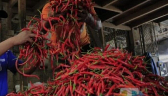 Harga Ikan Di Sigli Melonjak, Cabai Anjlok Tajam