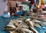 Laut Tak Kondusif, Harga Ikan Gembung Melambung
