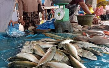 Laut Tak Kondusif, Harga Ikan Gembung Melambung